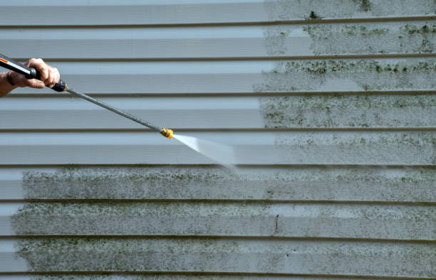 Professional Pressure Washing in Lucas, TX